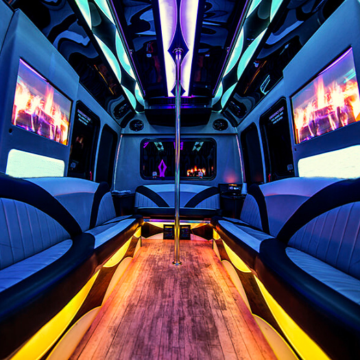 interior limousine