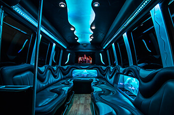 Huge party buses in NYC